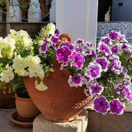 La Zenia