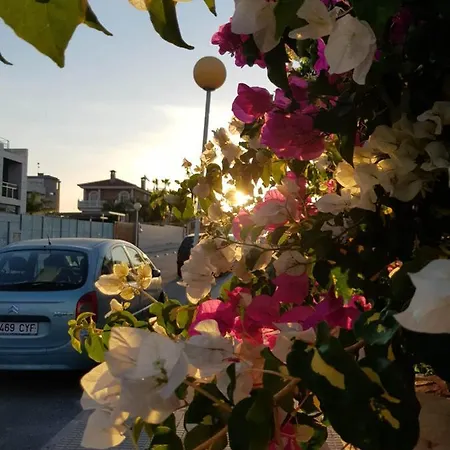 Ferienhaus La Zenia Orihuela